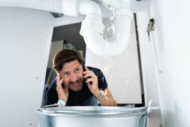 Best Emergency Plumbing Repair  in Priceville, AL