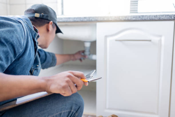 Best Sewer Line Repair  in Priceville, AL