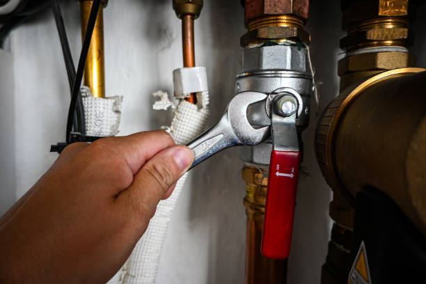 Best Water Softener Installation  in Priceville, AL